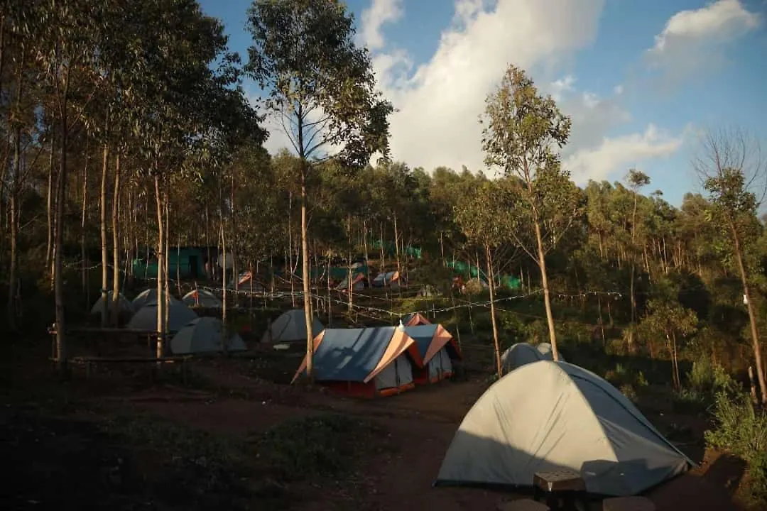 אתר קמפינג מלון Suryanelli Kolukkumalai Valley Camp הודו